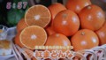 加藤綾子　フードonパレード