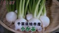 加藤綾子　フードonパレード