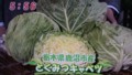 加藤綾子　フードonパレード