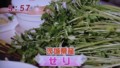 加藤綾子　フードonパレード