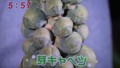 加藤綾子　フードonパレード