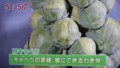 加藤綾子　フードonパレード