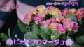 加藤綾子　フラワーonパレード