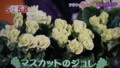 加藤綾子　フラワーonパレード