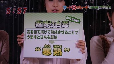 f:id:lowracer:20120116061621j:image