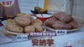 20121218071714
