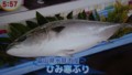 20121220071628