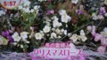 20121221061415
