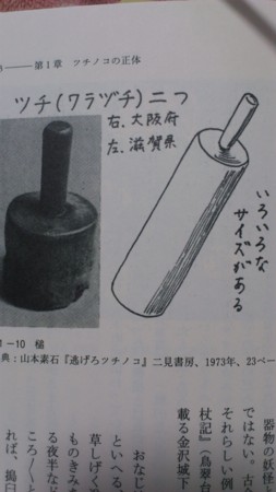 ツチノコの民俗学 妖怪から未確認動物へ 伊藤龍平 一日一冊一感動 小野塚テルの 感動の仕入れ 日記