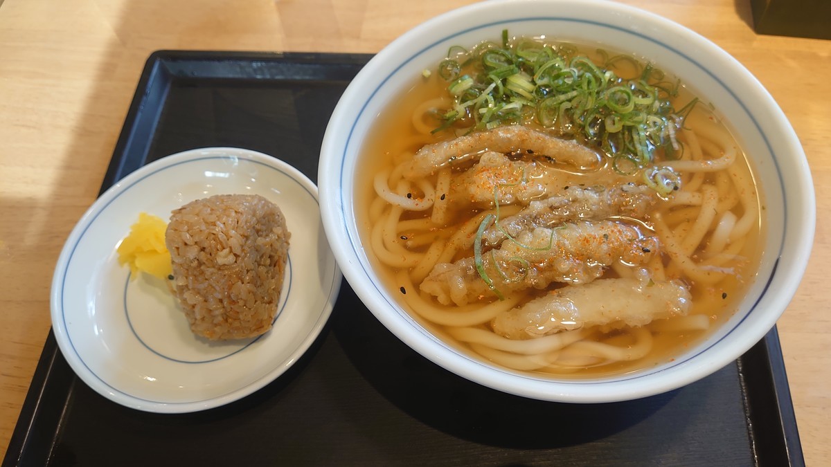うどん  問屋 国分ネット卸】さぬきシセイ 讃岐熟成うどん 800gx15: 食品