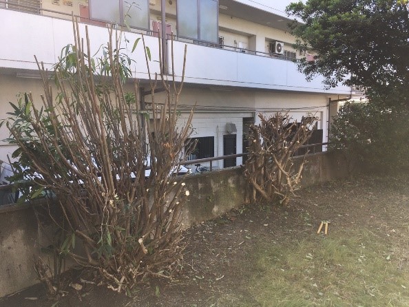 f:id:lsk-staff:20201113163810j:plain