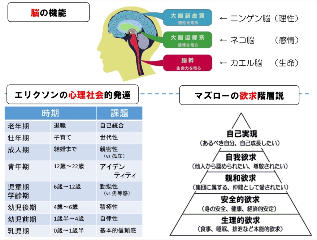 愛着 形成 と は