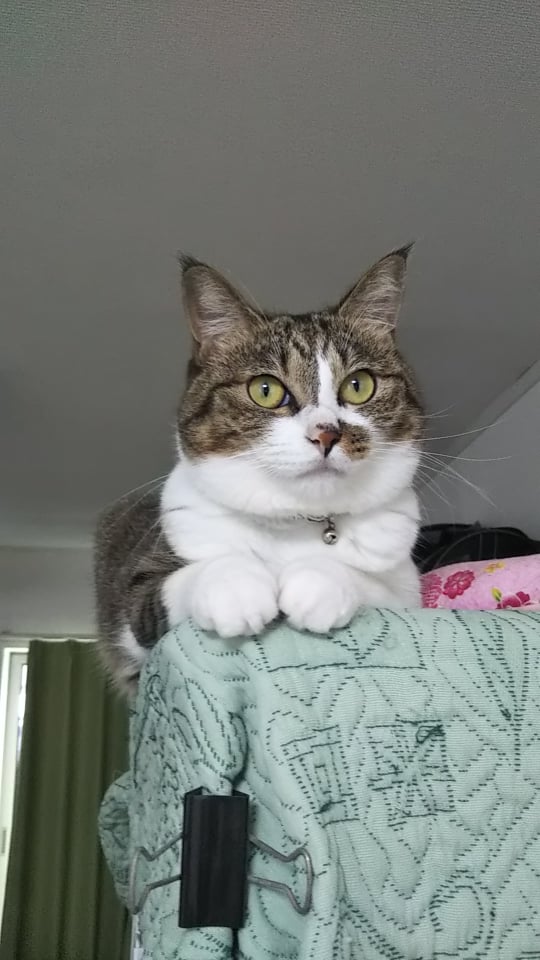 うのさん