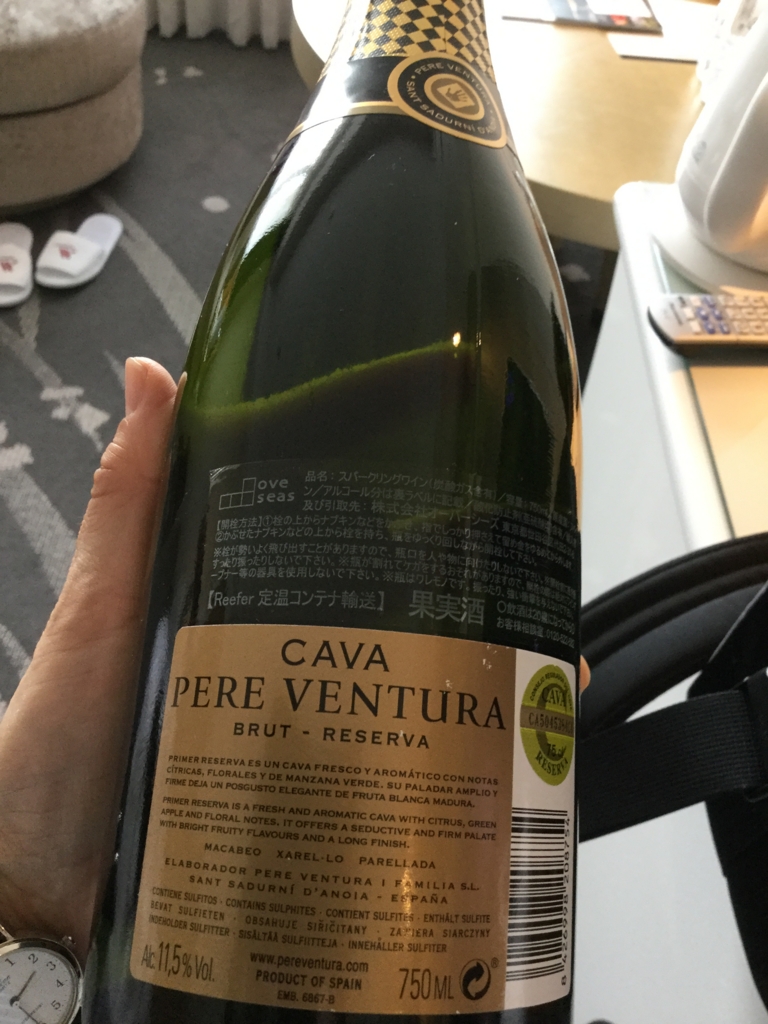 f:id:lucamileagelife:20170420025320j:plain