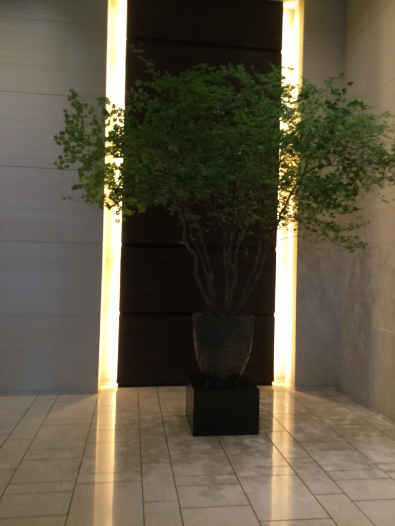 f:id:lucamileagelife:20170621021606j:plain f:id:lucamileagelife:20170621021606j:plain