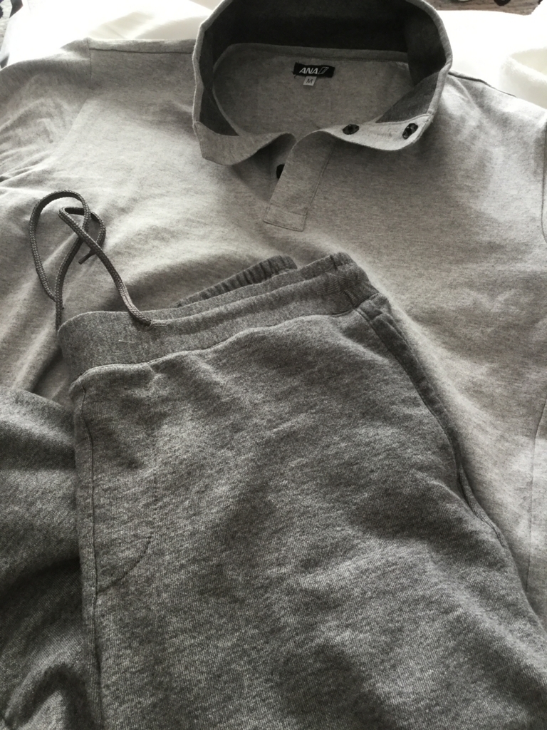 ニューヨークから羽田へ 夫のファーストクラス搭乗記 Anaのマイルでニューヨーク旅行計画 ニューヨークから羽田へ 夫のファーストクラス搭乗記 Anaのマイルでニューヨーク旅行計画