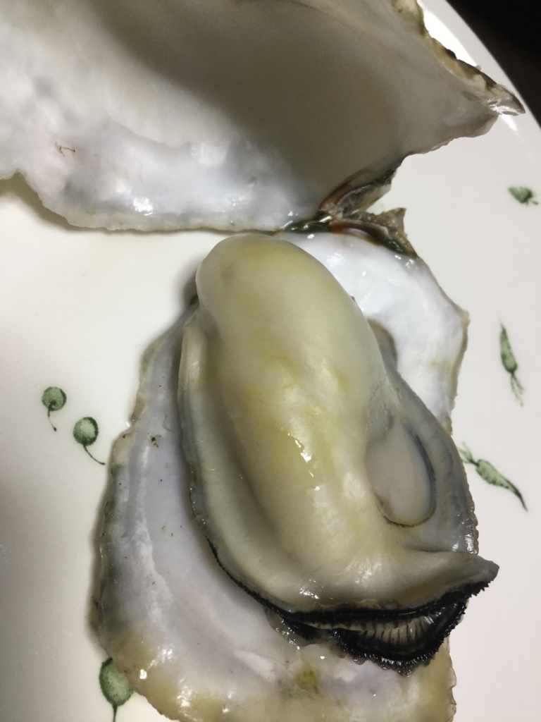 f:id:lucamileagelife:20180121112126j:plain