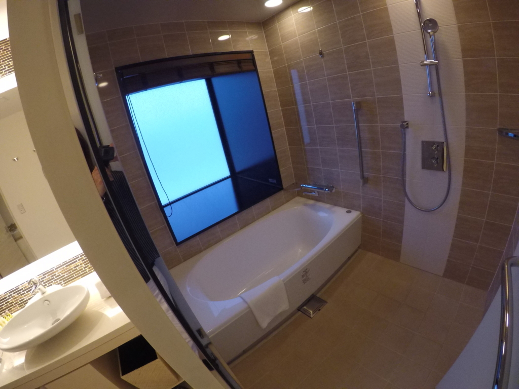 f:id:lucamileagelife:20180308014011j:plain