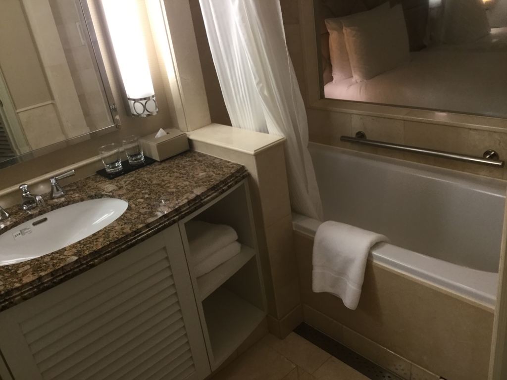 f:id:lucamileagelife:20180324011011j:plain f:id:lucamileagelife:20180324011011j:plain