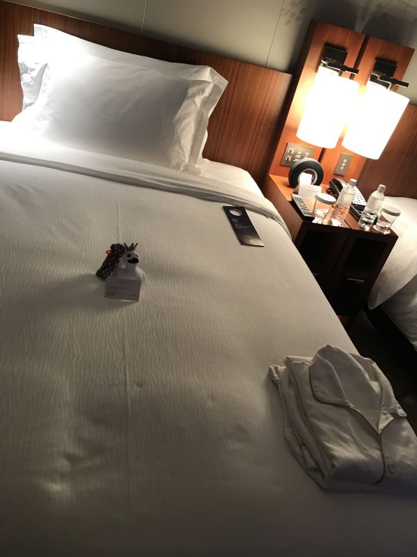 f:id:lucamileagelife:20190713032858j:plain f:id:lucamileagelife:20190713032858j:plain