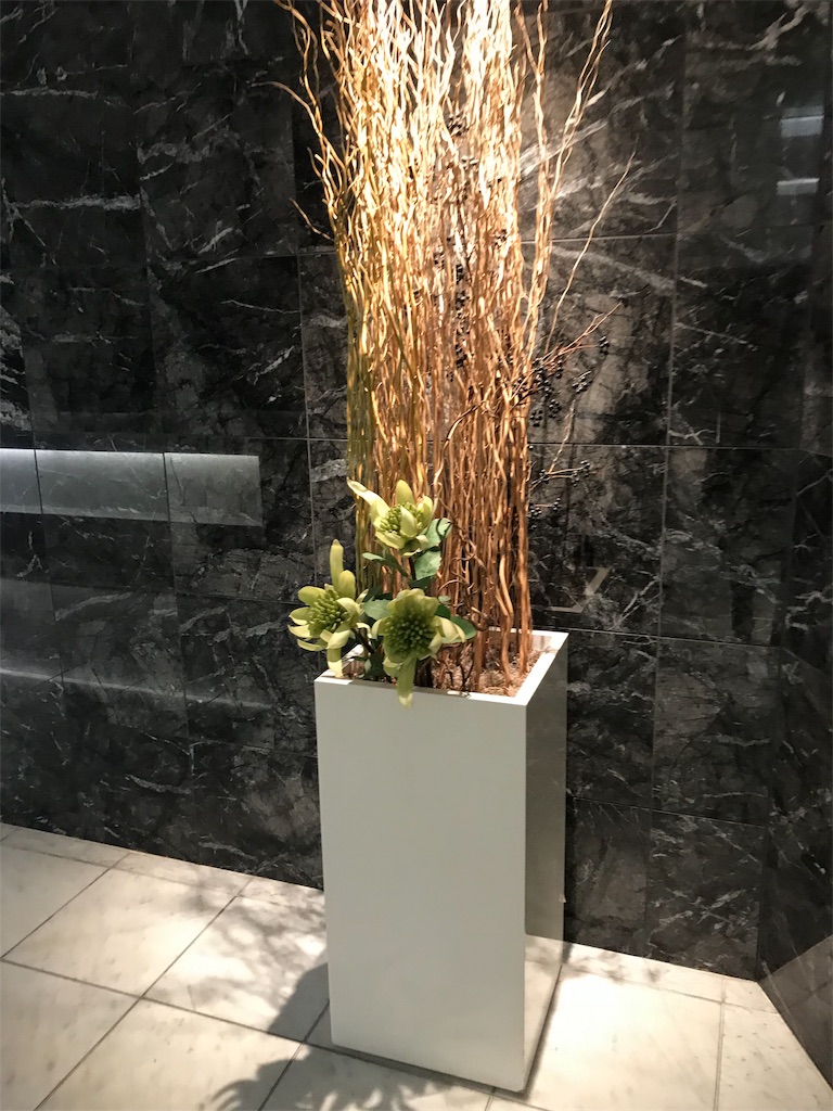 f:id:lucamileagelife:20191204164435j:image