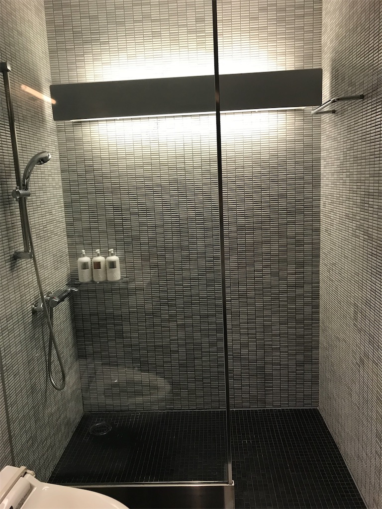 f:id:lucamileagelife:20191205011411j:image