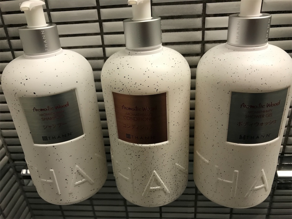 f:id:lucamileagelife:20191205011443j:image