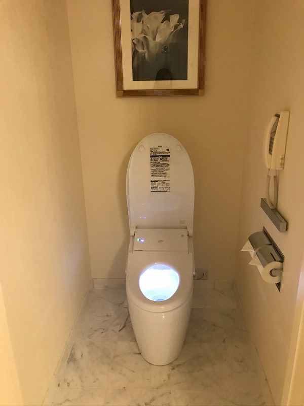 f:id:lucamileagelife:20200620032838j:plain f:id:lucamileagelife:20200620032838j:plain