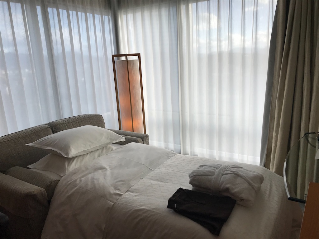 f:id:lucamileagelife:20210115210009j:plain