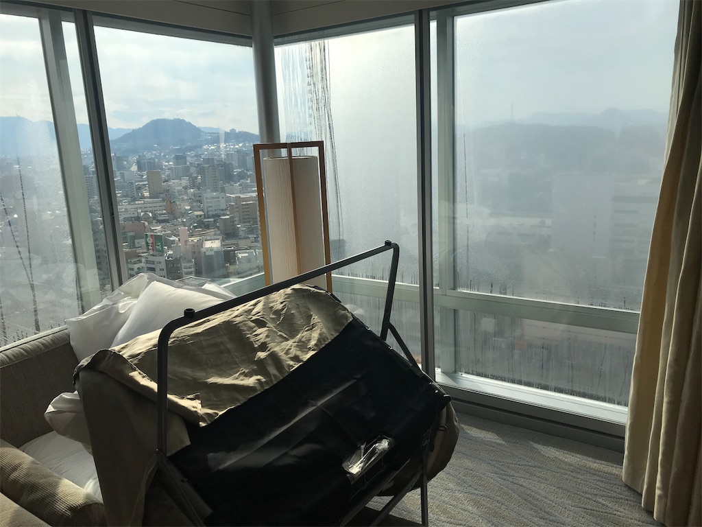 f:id:lucamileagelife:20210115210317j:plain