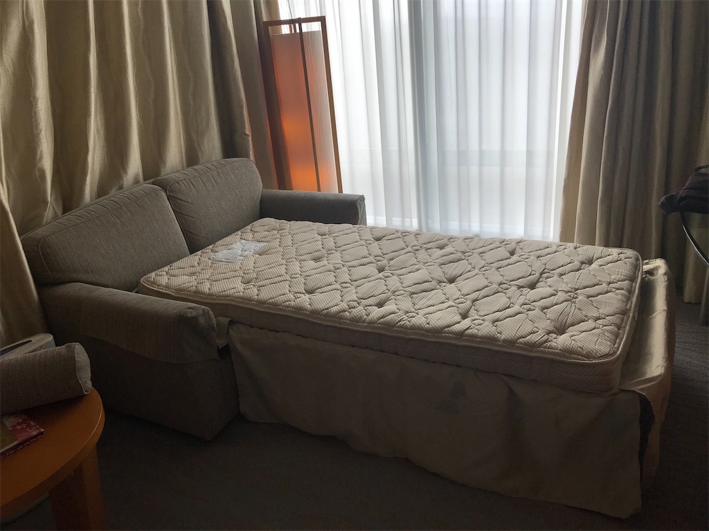 f:id:lucamileagelife:20210115210320j:plain