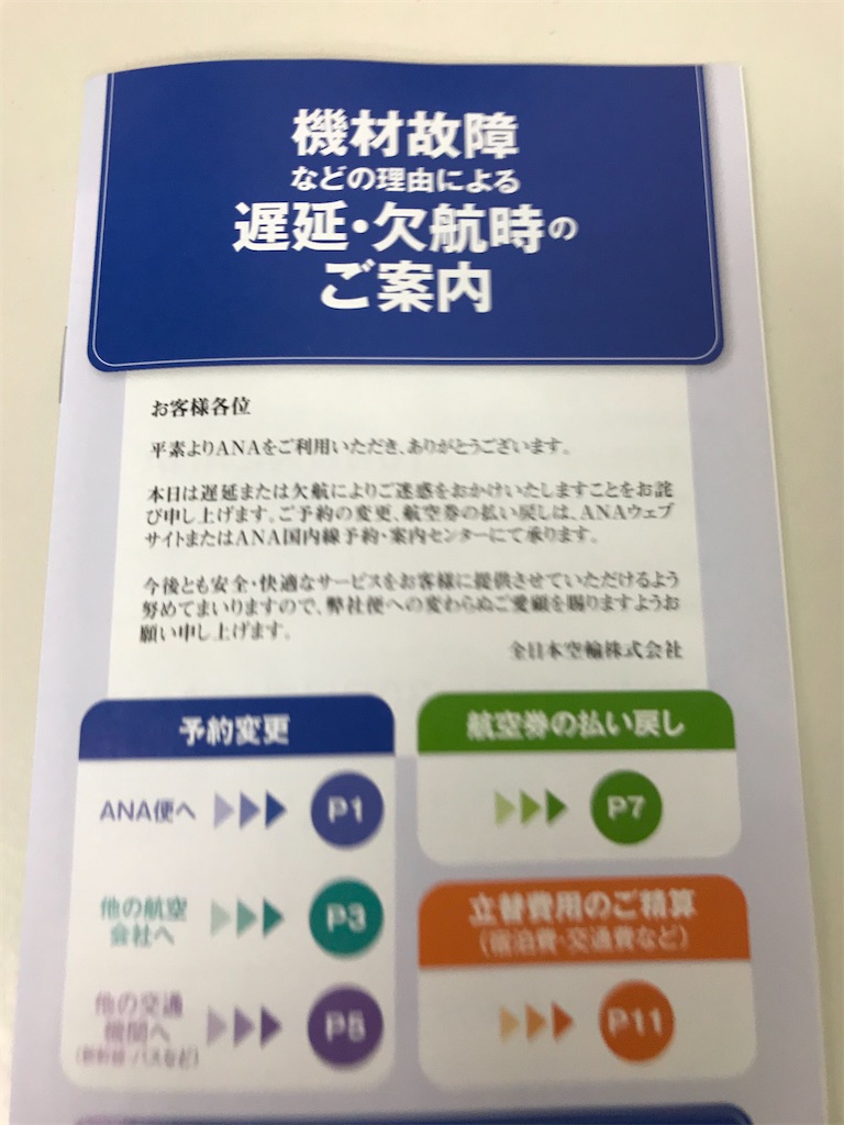 コロナのせいで搭乗便が欠航 立替費用の清算とか 便変更とかいろいろ手続きの結果 Anaのマイルでニューヨーク旅行計画