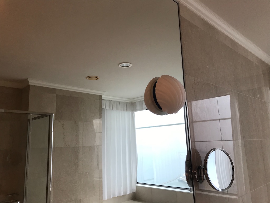 f:id:lucamileagelife:20210324005731j:plain