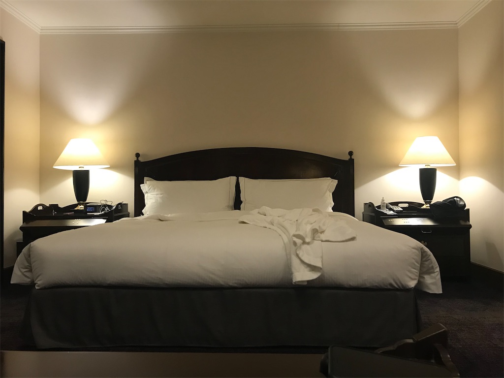 f:id:lucamileagelife:20210324005750j:plain