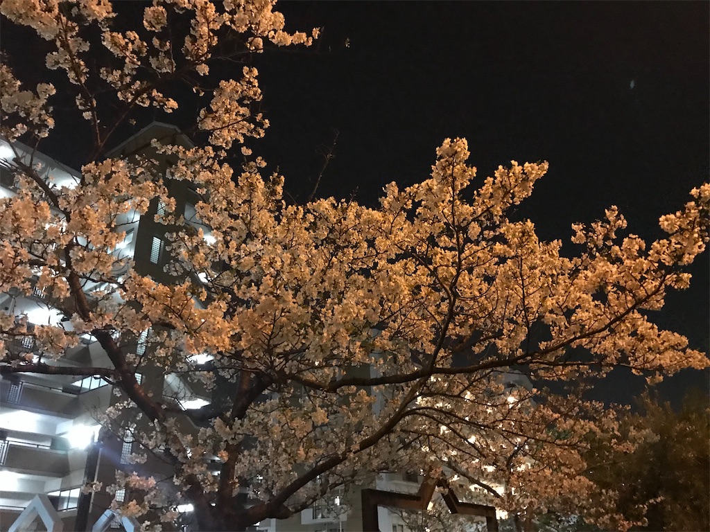 f:id:lucamileagelife:20210330014057j:plain