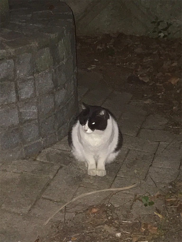 f:id:lucamileagelife:20210330014135j:plain