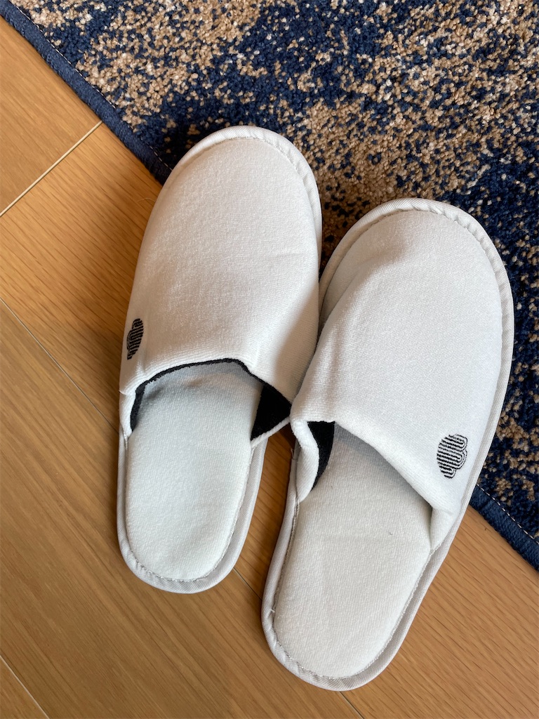 f:id:lucamileagelife:20211124065336j:plain