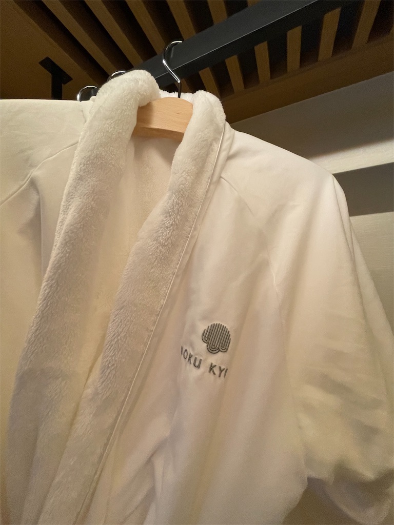 f:id:lucamileagelife:20211124065655j:plain