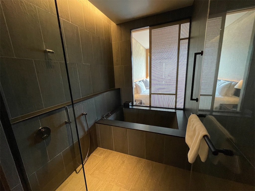 f:id:lucamileagelife:20211124065703j:plain