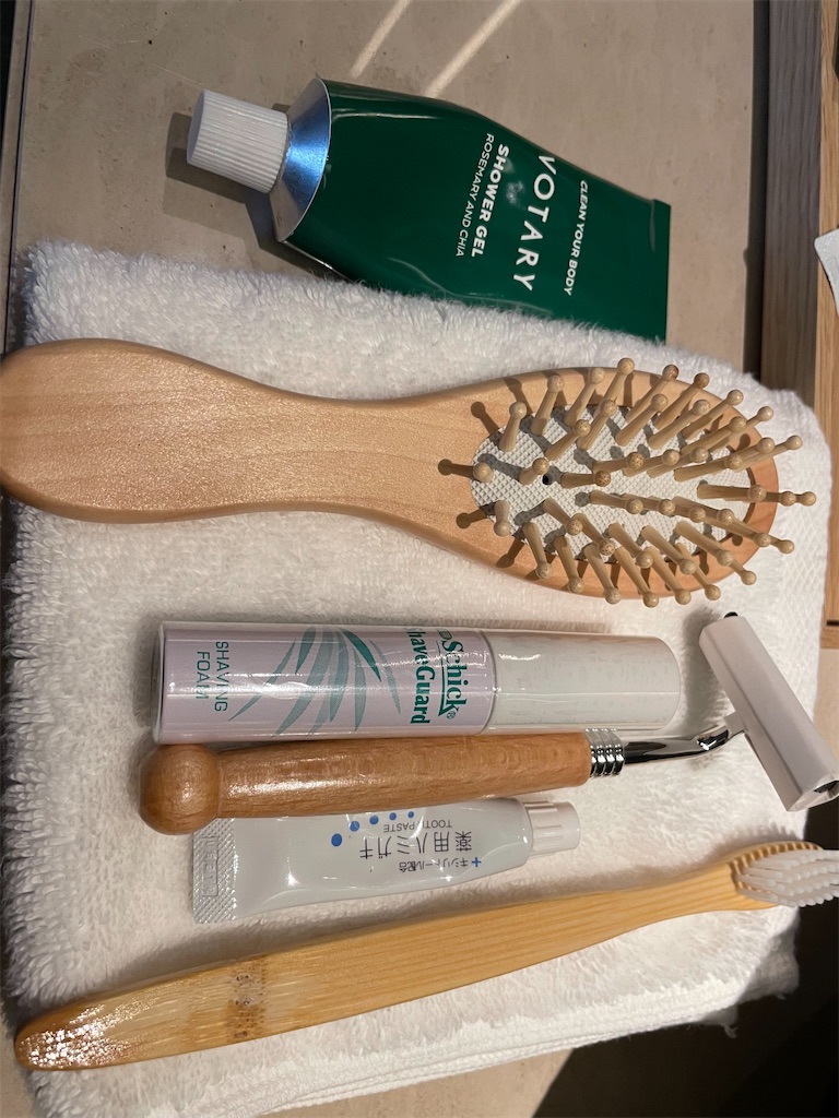 f:id:lucamileagelife:20211124070059j:plain