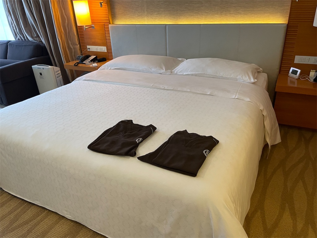 f:id:lucamileagelife:20220328010857j:plain