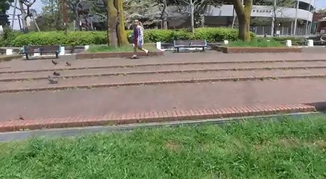 f:id:lucas_kq:20160913202144j:plain