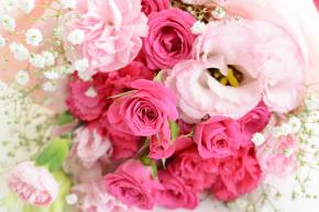f:id:luccax:20220118202219j:plain