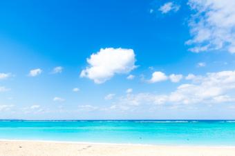 ネットフリックスのドラマ エデンへようこそ ネタバレ感想 ルッカのあらすじ園