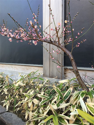 f:id:luce513:20180311085016j:image f:id:luce513:20180311085016j:image