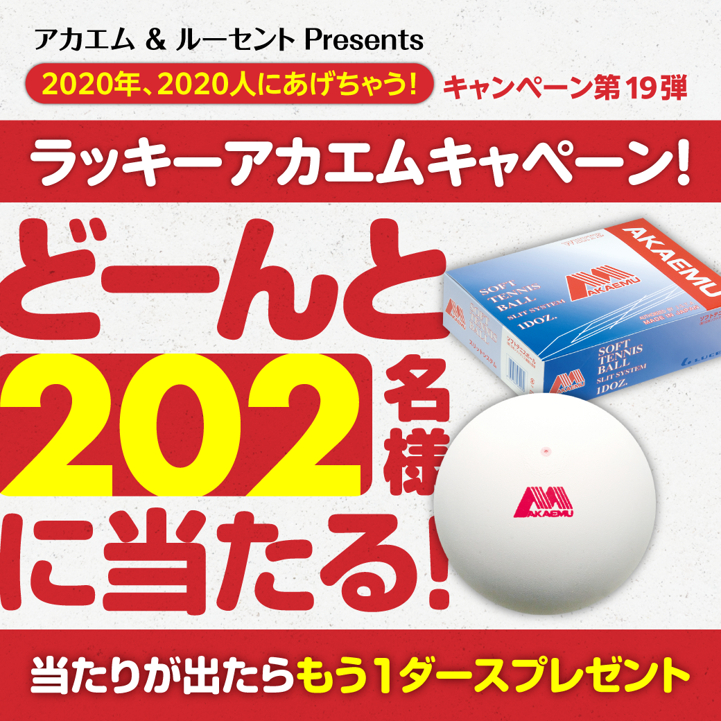 f:id:lucent-corp:20201217164849p:plain