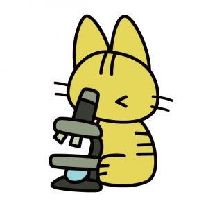 木を見て森を見ず Fxでサクッとお小遣い稼ぎ