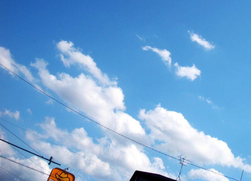 f:id:lucky39:20090607150240j:image:w400