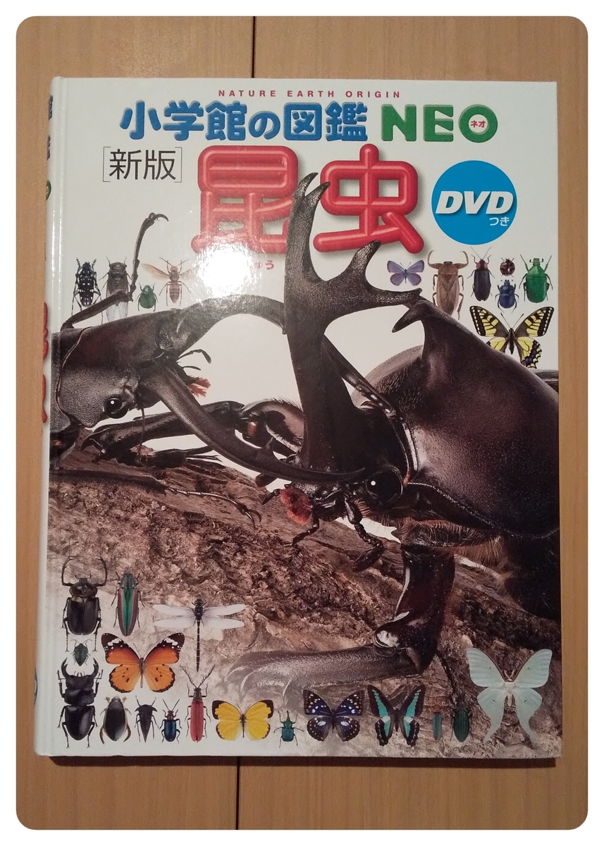f:id:lucky90:20200828215553j:plain