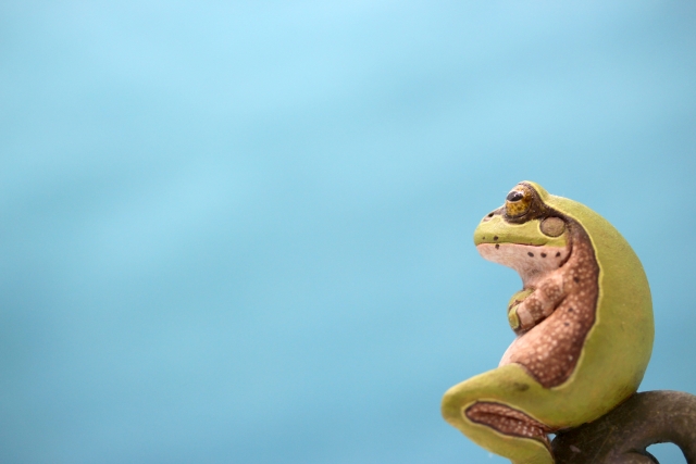 f:id:luckyjun15:20190314111356j:plain f:id:luckyjun15:20190314111356j:plain